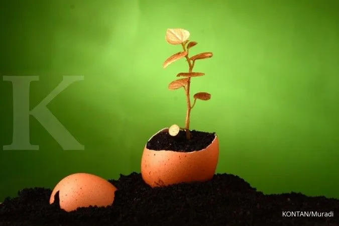 Mulai Investasi dari Rp10 Ribu: Tujuh Aplikasi yang Banyak Dipilih Pemula