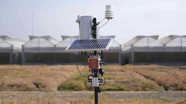 Cuaca Ekstrem Tekan Perikanan Laut dan Tambak, Pemantauan Real-Time Jadi Kunci Antisipasi