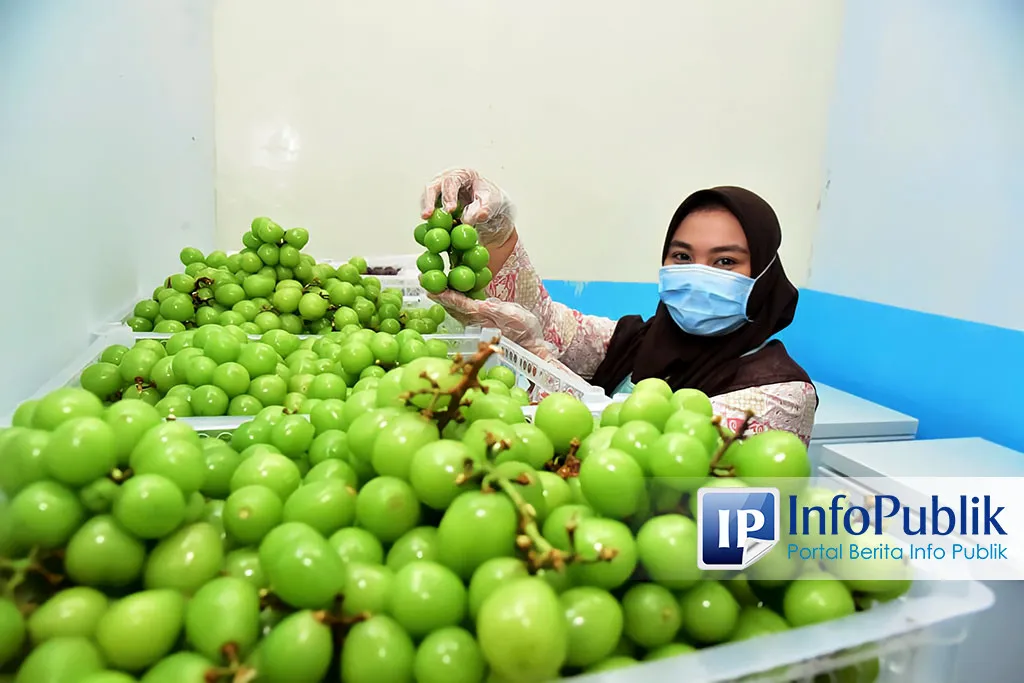 Program Makan Bergizi Gratis di Lumajang Kenalkan Pola Makan Sehat Sejak Dini