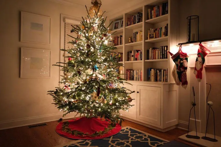 Tips Merawat Pohon Natal agar Awet hingga 10 Tahun untuk Persiapan Natal 2025