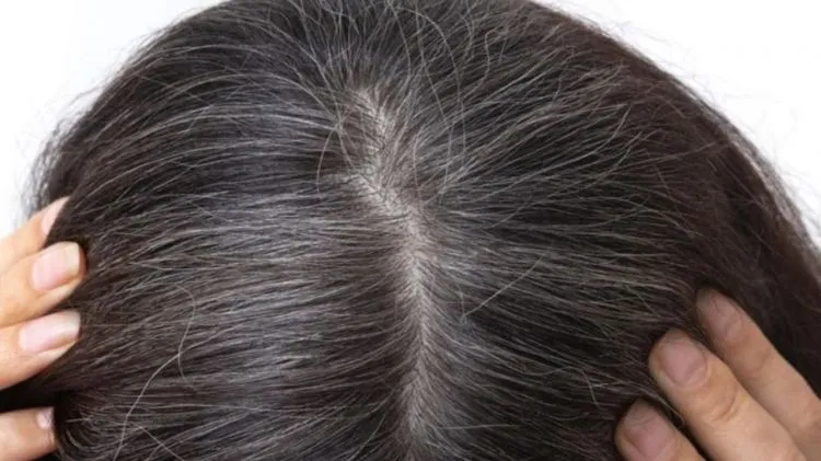Cara Menghitamkan Rambut Beruban dengan Bubuk Kopi dan Minyak Kelapa, Tanpa Semir atau Henna