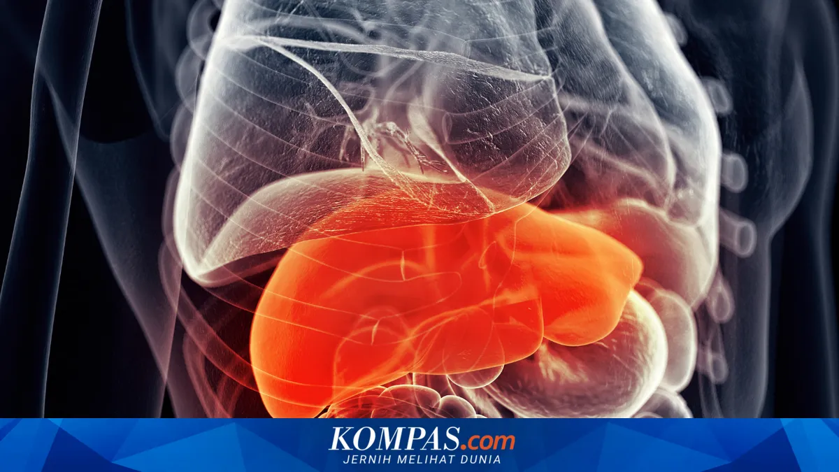 Studi: Soda Diet Harian Terkait Kenaikan Risiko Perlemakan Hati, Air Putih Disebut Lebih Aman