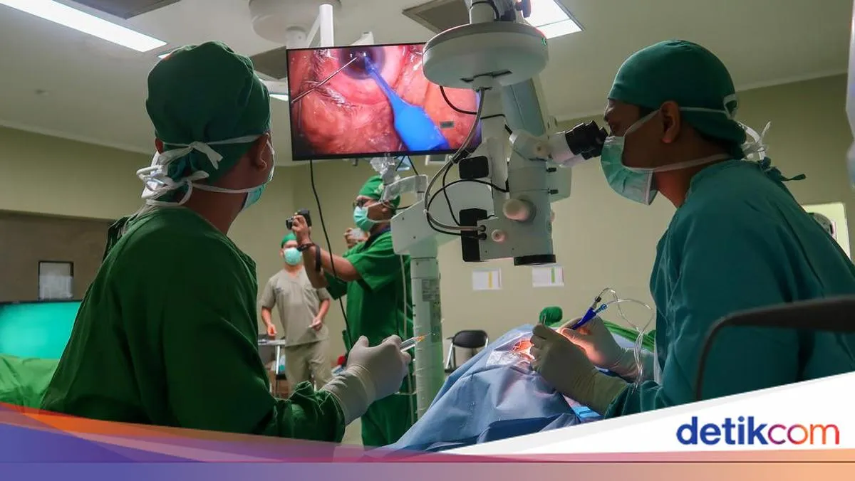 RS Asing Ingin Buka Cabang di Pedalaman Indonesia, Seberapa Realistis?