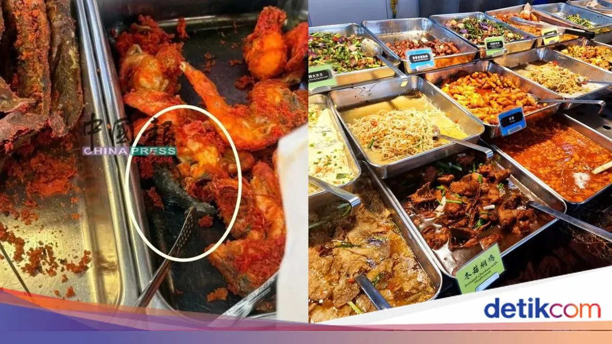 Food Court di Penang Ditutup Sementara Usai Temuan Tikus Goreng di Antara Ayam