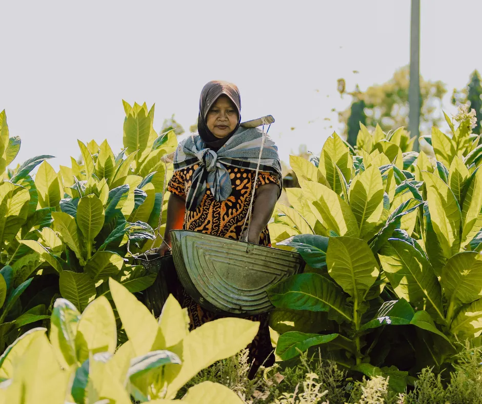 Hari Bhakti Transmigrasi 2025: Refleksi 75 Tahun Program, Tujuan, Tantangan, dan Arah Modernisasi