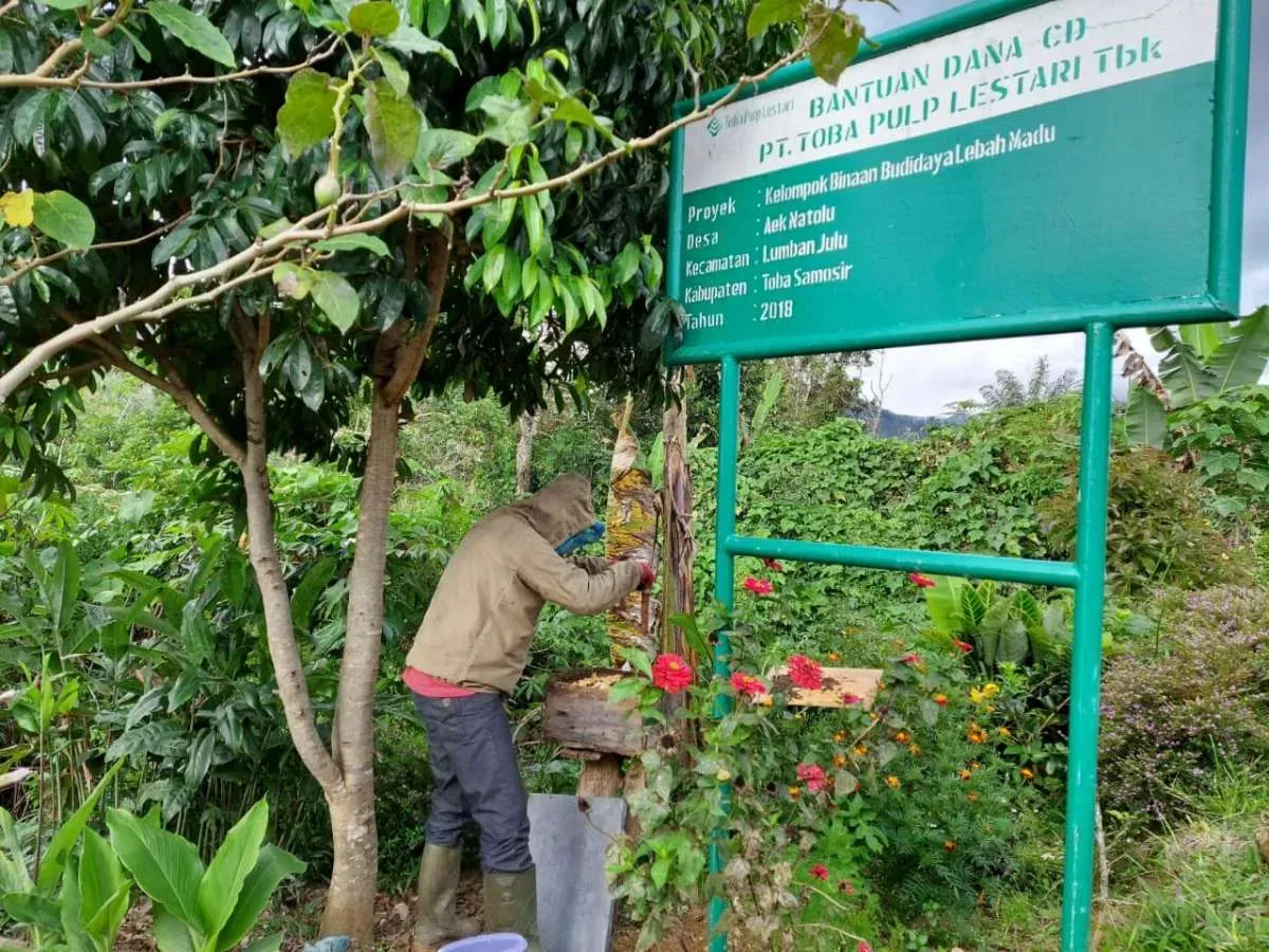 Profil INRU: Bisnis Pulp-Kertas, Kinerja Kuartal I 2025, dan Perubahan Pengendali