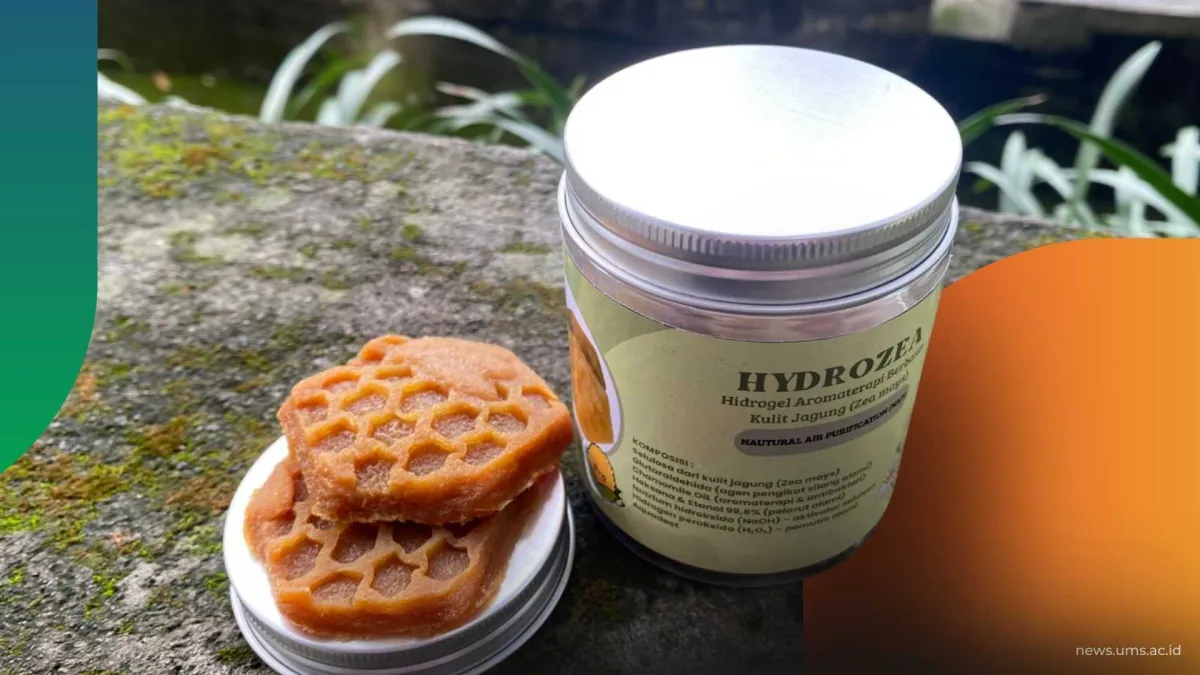 Mahasiswa Teknik Kimia UMS Kembangkan Hydrozea, Hidrogel Penyerap Air dari Limbah Kulit Jagung