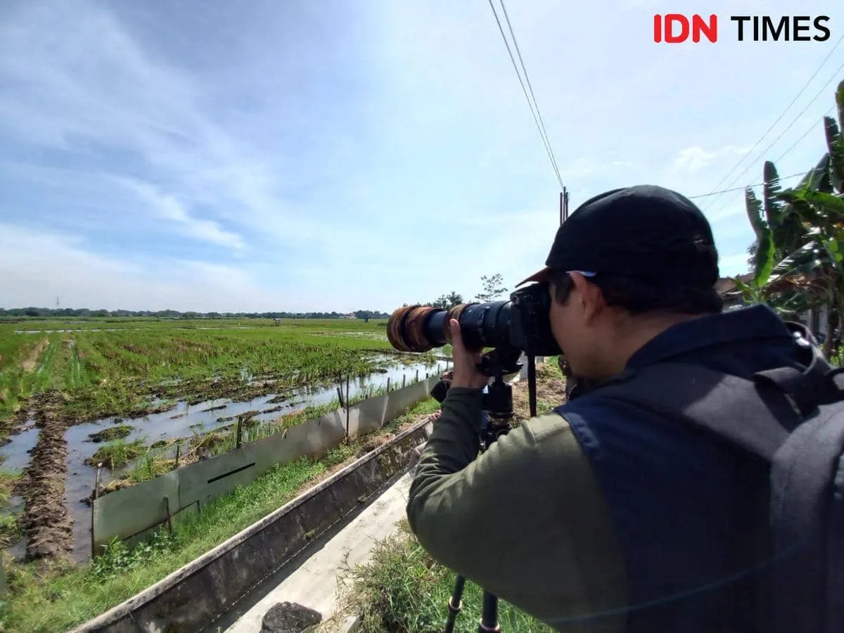 BKSDA Kediri dan Mapala UIN SATU Amati Burung Migrasi dari Belahan Bumi Utara di Tulungagung