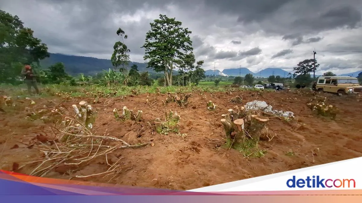 Polisi Tetapkan Enam Tersangka Kasus Perusakan Kebun Teh di Pangalengan