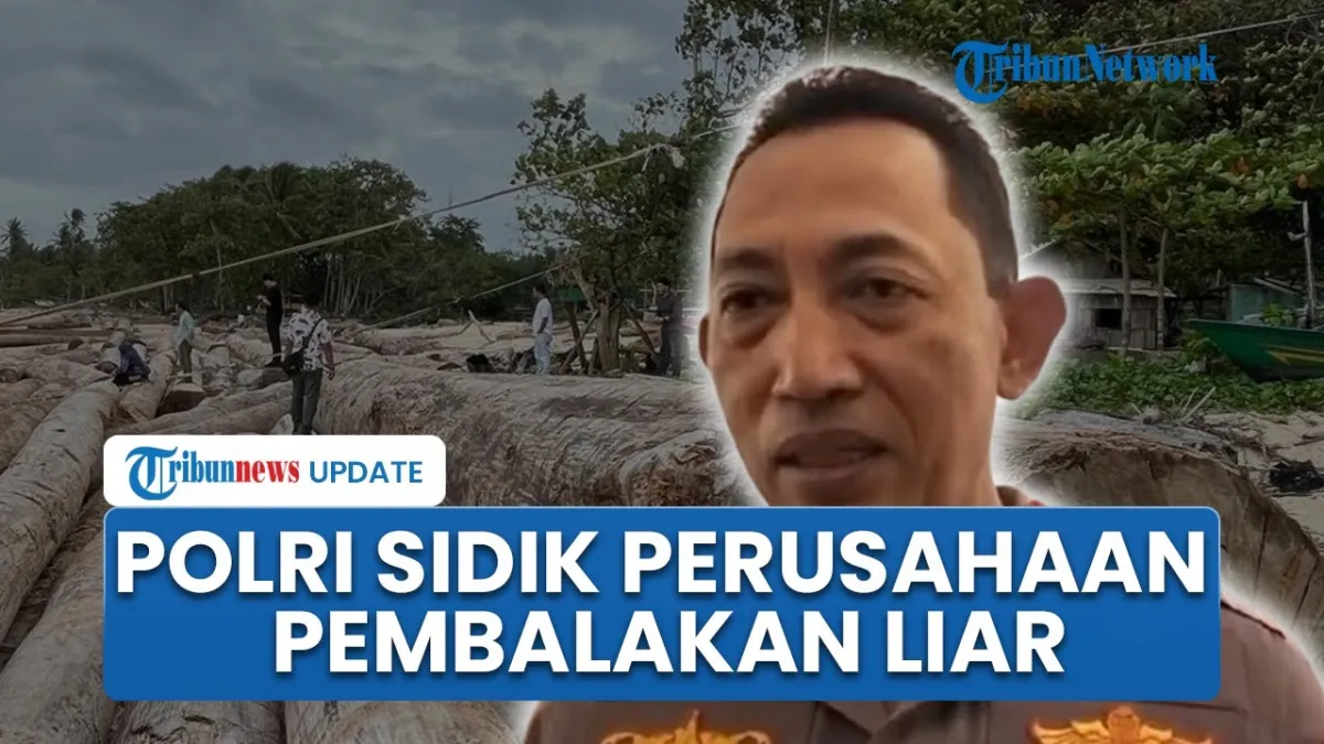 Kapolri: Satu Perusahaan Diduga Terlibat Pembalakan Liar, Kasus Naik ke Tahap Penyidikan