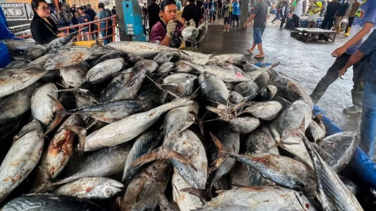 Cara Merendam Ikan dengan Cuka untuk Mengurangi Kandungan Formalin