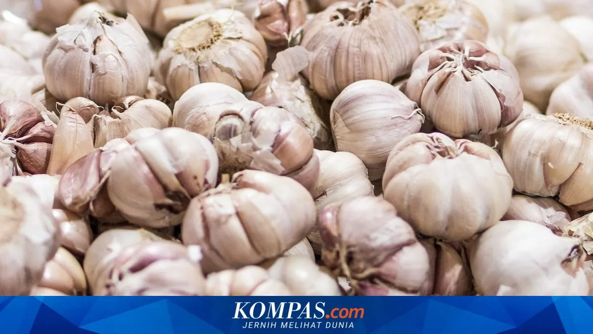 Ketergantungan Impor Bawang Putih Masih Tinggi, Pasokan Seret Dorong Harga Naik
