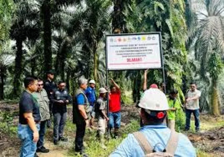 Satgas PKH Perkuat Penegakan Hukum untuk Tertibkan Kawasan Hutan Negara