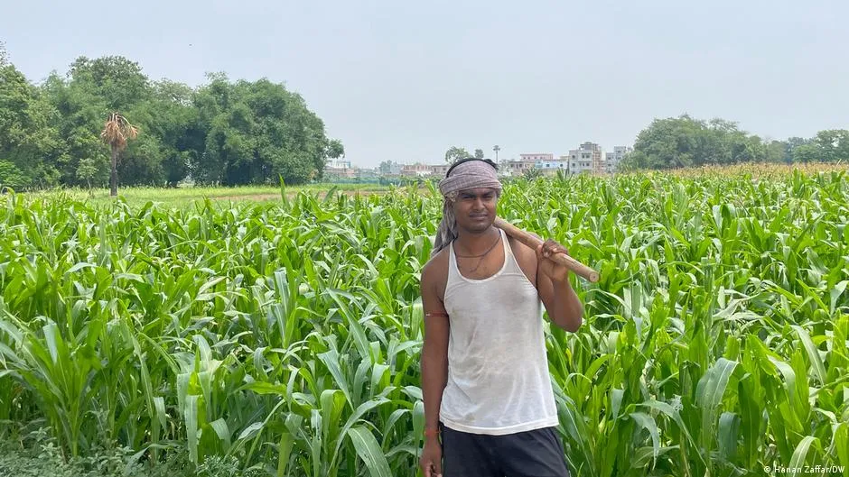 Penyimpanan Dingin Bertenaga Surya Jadi Harapan Kurangi Susut Panen di Bihar, India