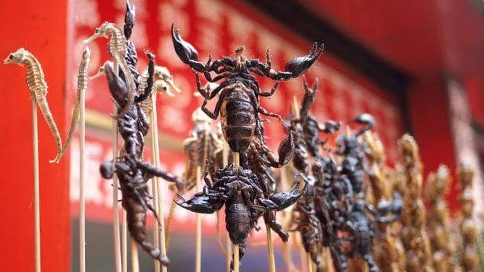 10 Kuliner Ekstrem Khas Thailand, dari Tumis Kecebong hingga Telur Semut Merah