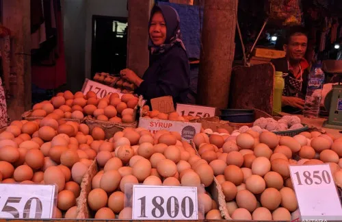 Harga Telur Ayam di Pasar Tradisional Naik Menjelang Akhir 2025