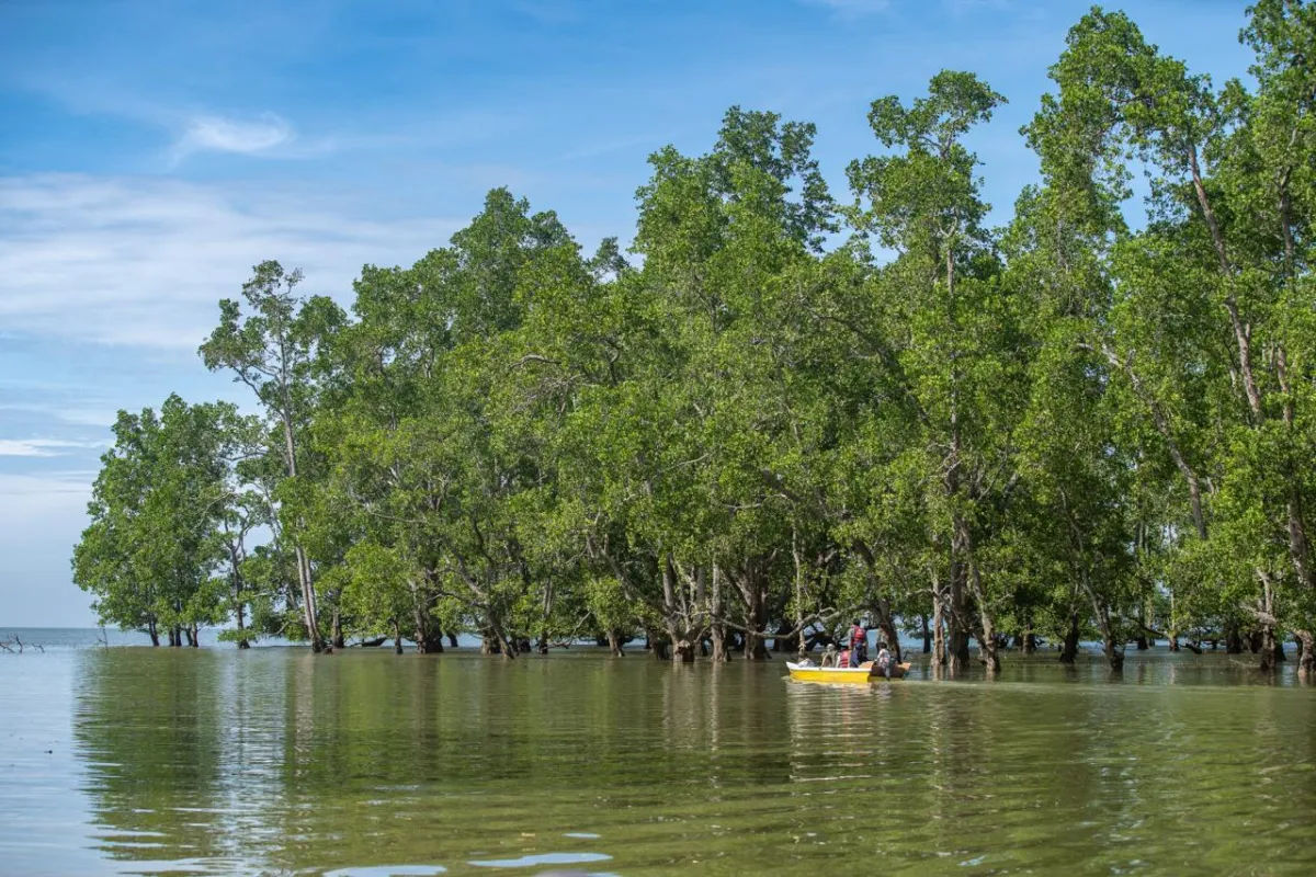 UNMUL dan YKAN Perpanjang Kerja Sama, Perkuat Riset dan Konservasi Pesisir Kalimantan Timur
