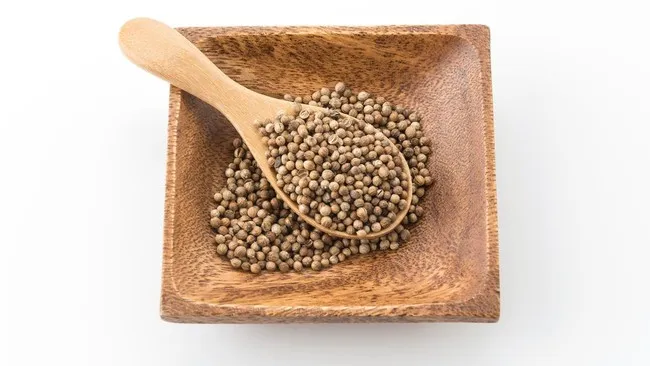 Ketumbar Disebut Berpotensi Bantu Lawan Peradangan, Diabetes, dan Kanker