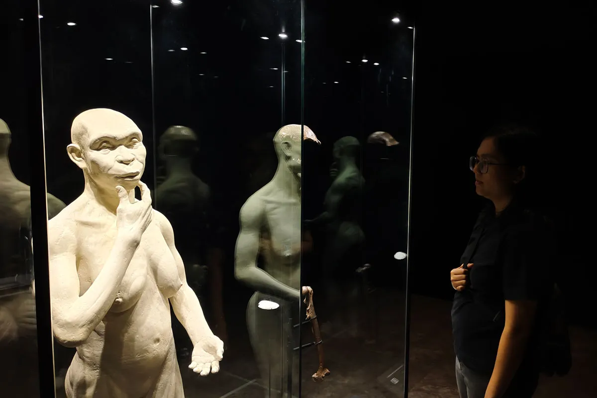 Empat Gelombang Migrasi Penghuni Awal Nusantara: Jejak Awal dari Afrika