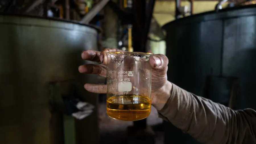 Harga Minyak Naik, CPO di Bursa Malaysia Menguat Tipis