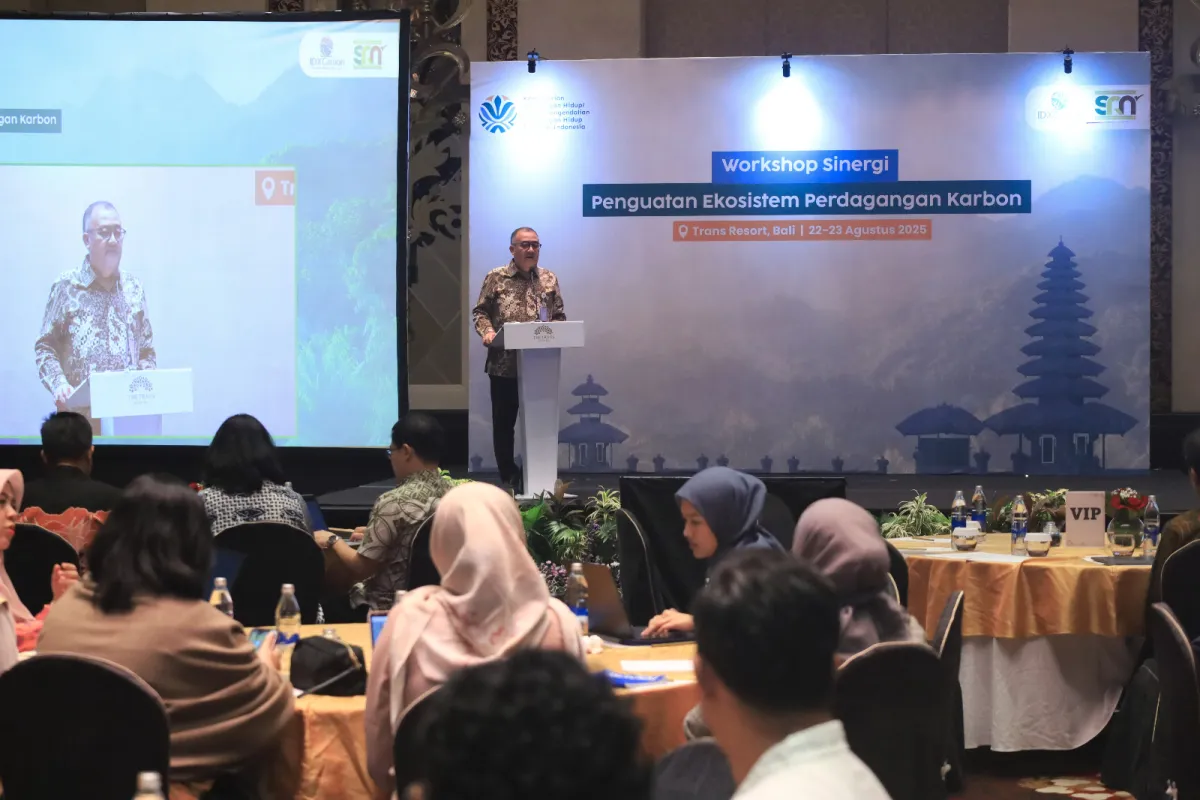 KLH/BPLH Dorong Penguatan Tata Kelola Perdagangan Karbon untuk Percepat Implementasi Article 6