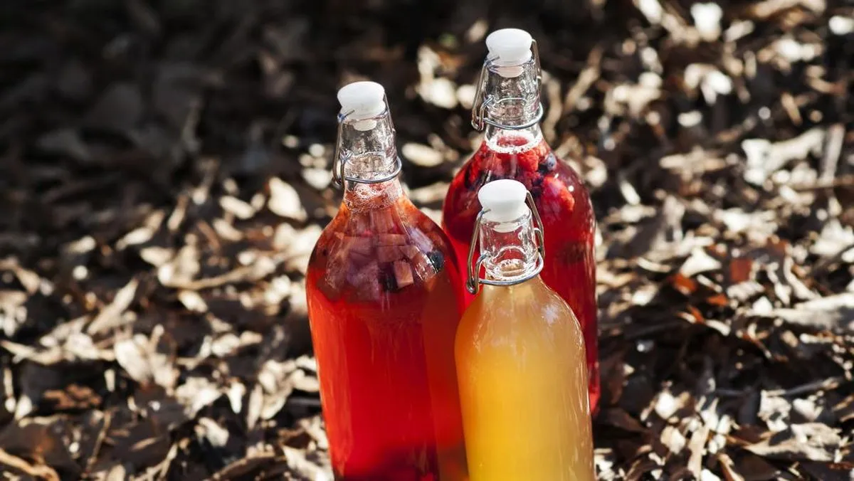 Tren di Kalangan Anak Muda China: Memelihara Jamur yang Tumbuh dari Teh Kemasan