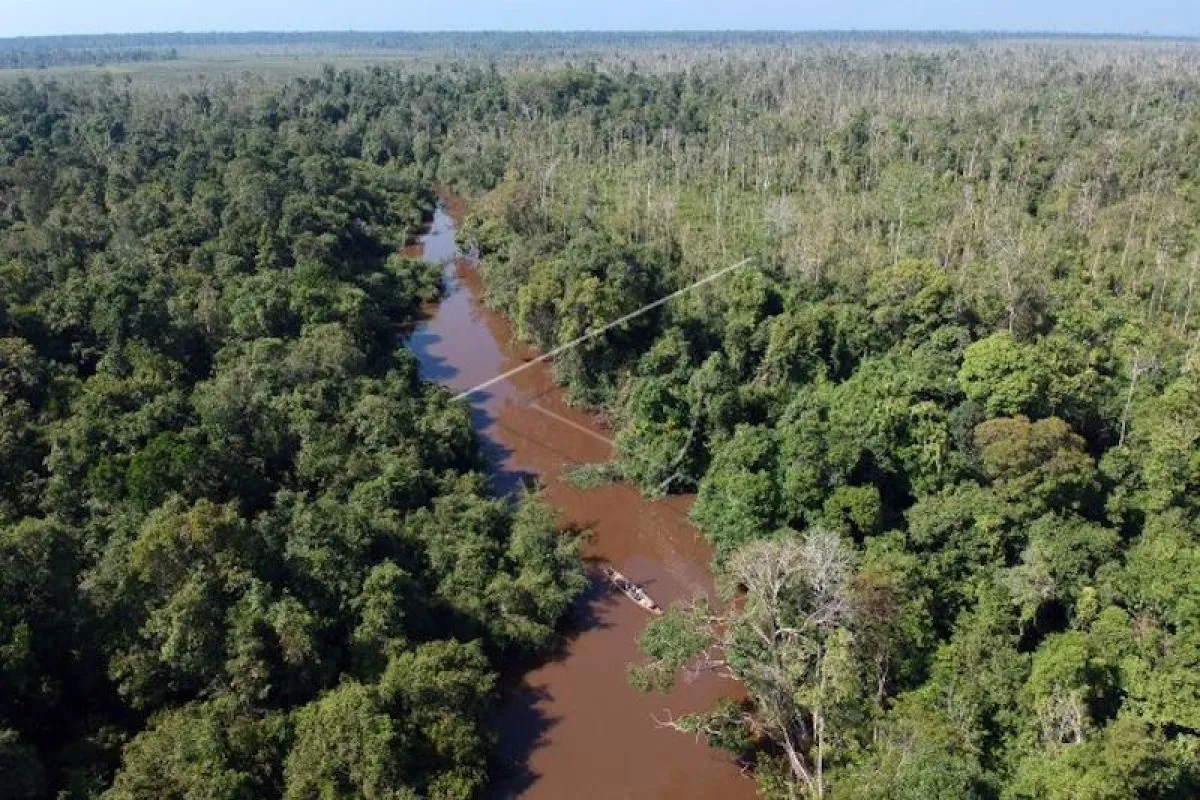 Kemenhut Amankan BS, Diduga Koordinator Perambahan di TN Berbak Sembilang
