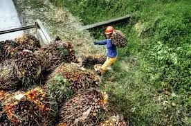 Industri Sawit Sumbang Devisa Ekspor dan Penghematan Impor Lewat Biodiesel
