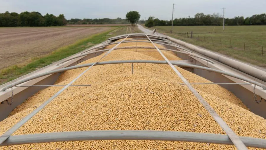 Harga Kedelai Menguat Usai AS Klaim China Sepakat Hentikan Tarif Balasan