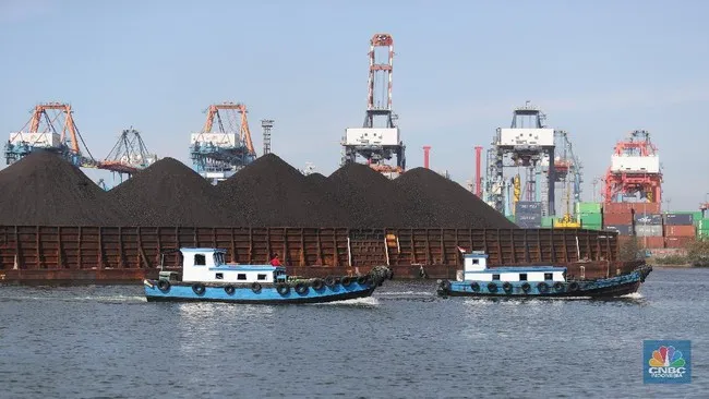 IMA Prediksi Volume Ekspor Batu Bara Indonesia pada 2025 Menurun