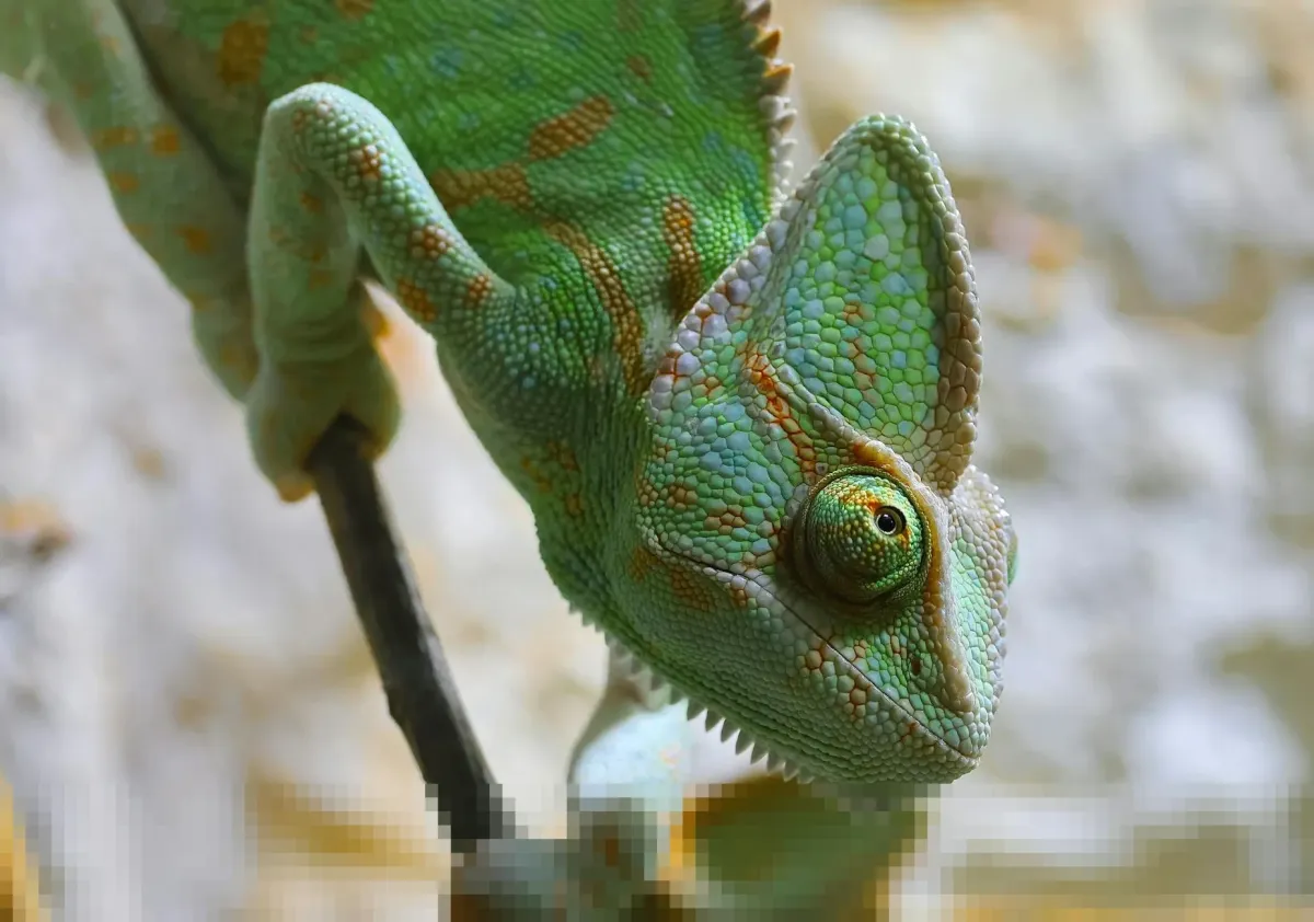 Zelensky Desak Dunia Bantu Rakyat Iran Gulingkan Rezim di Tengah Demo Berdarah