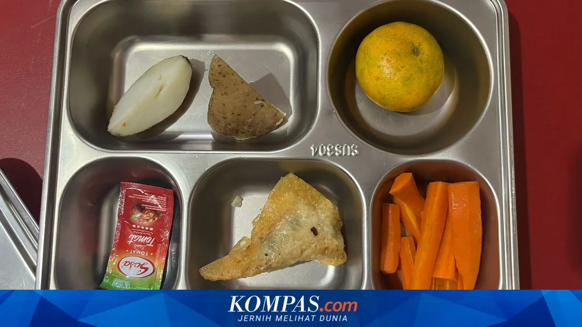 BGN Inspeksi Dapur MBG di Depok Terkait Pangsit Viral, Sarankan Evaluasi Menu dan Porsi