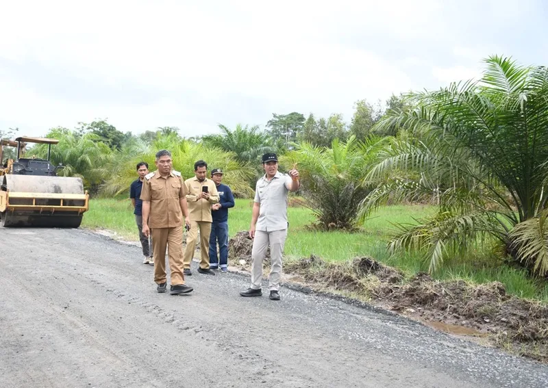 Bupati Pulang Pisau Tinjau Proyek Jalan dan Jembatan di Akhir 2025