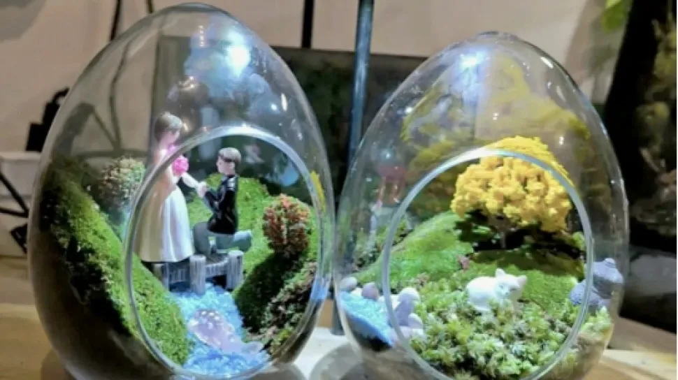 Workshop Terarium di Yogyakarta Jadi Ruang Rehat Warga Kota dari Tekanan Aktivitas Harian