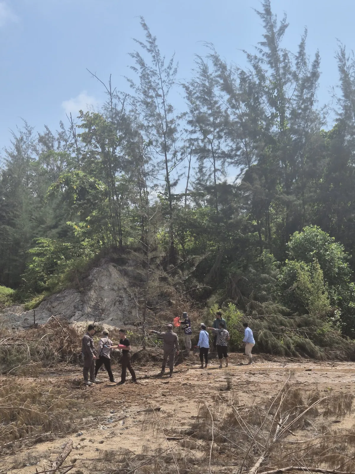 Polemik Lahan Tambak Udang di Belitung Timur, 25 SKT Diduga Masuk Kawasan Hutan Lindung Pantai Burung Mandi