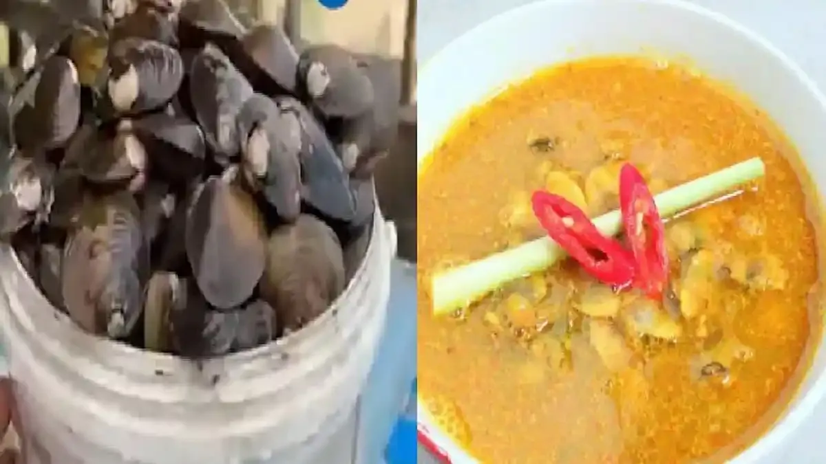 Resep Kerang Pokea Kuah Kuning, Olahan Kerang Air Tawar Khas Kendari Sulawesi Tenggara