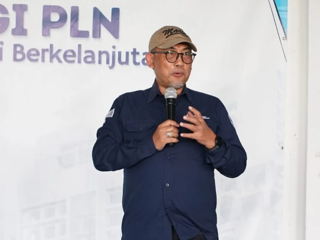 Penguatan Lembaga dan Regulasi Dinilai Penting untuk Dorong Energi Terbarukan