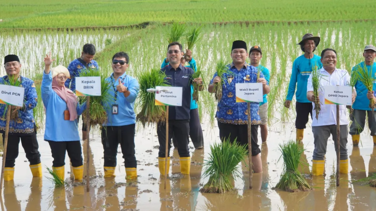 Jepara dan BRIN Perkuat Mitigasi Bencana Berbasis Teknologi Lewat Optimalisasi Lahan Pesisir