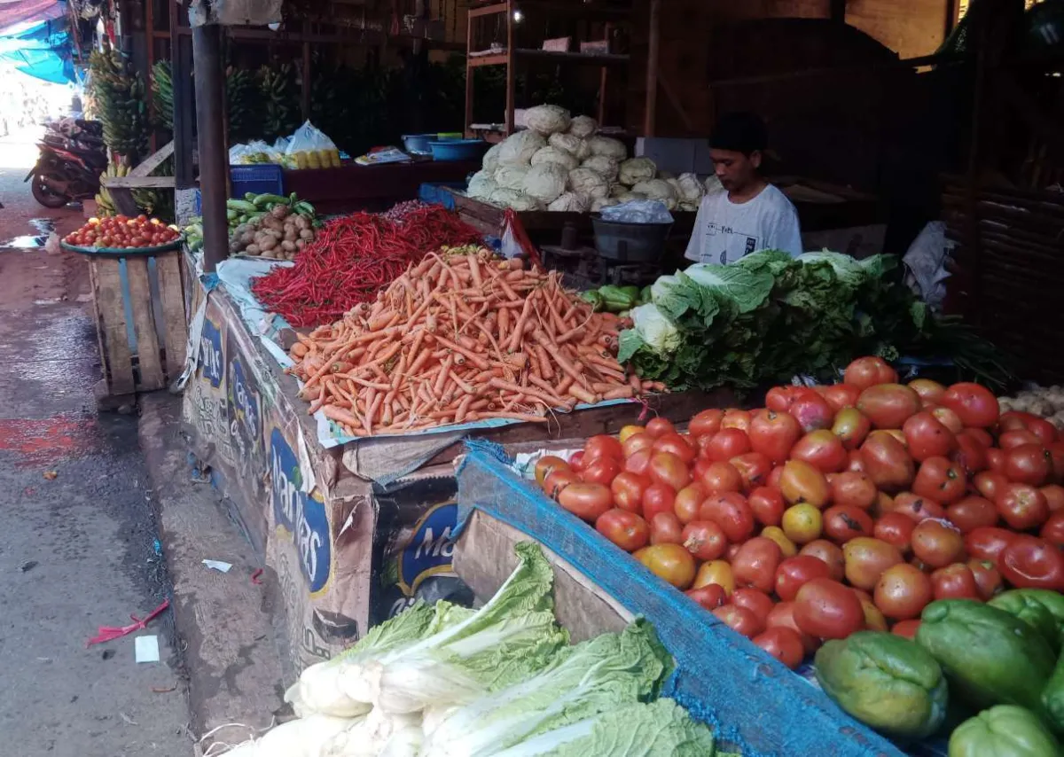 Ekonomi Digital Dorong Pertumbuhan UMKM, tetapi Tantangan Literasi dan Infrastruktur Masih Mengemuka