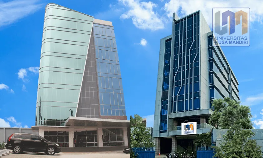 Prodi Bisnis Digital Kian Diminati, Ini Gambaran Materi, Skill, dan Prospek Kariernya