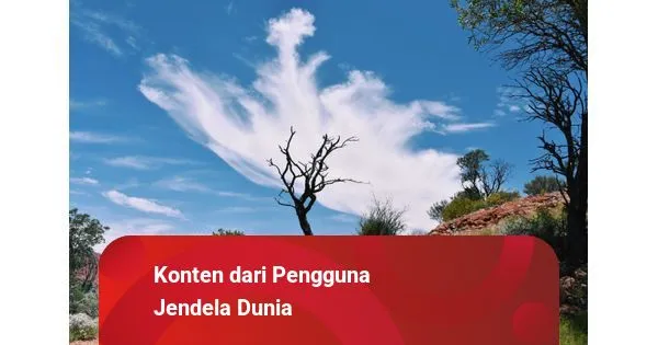 Empat Rekomendasi Street Food Halal di Solo, dari Penyetan hingga Sate Kere