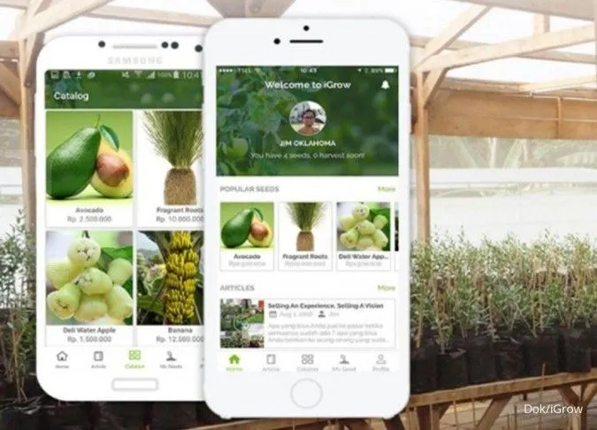 Fintech P2P Pertanian Tersandung Gagal Bayar, OJK Lakukan Pemeriksaan dan Jatuhkan Sanksi