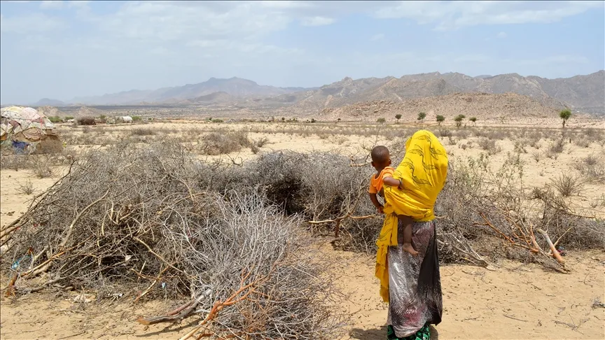 Penolakan Menguat dari Afrika hingga Timur Tengah atas Pengakuan Israel terhadap Somaliland