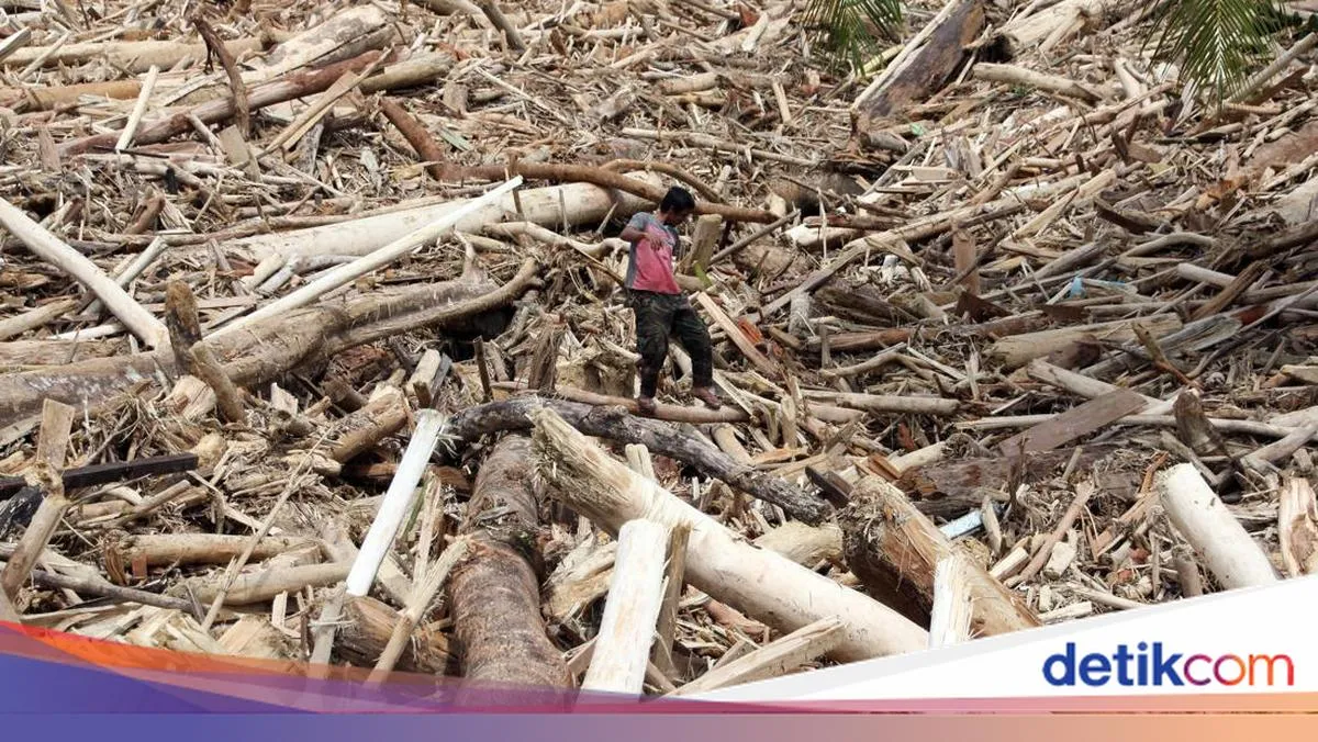 Pemerintah Selidiki Asal-usul Gelondongan Kayu yang Terbawa Banjir di Sejumlah Wilayah Sumatera