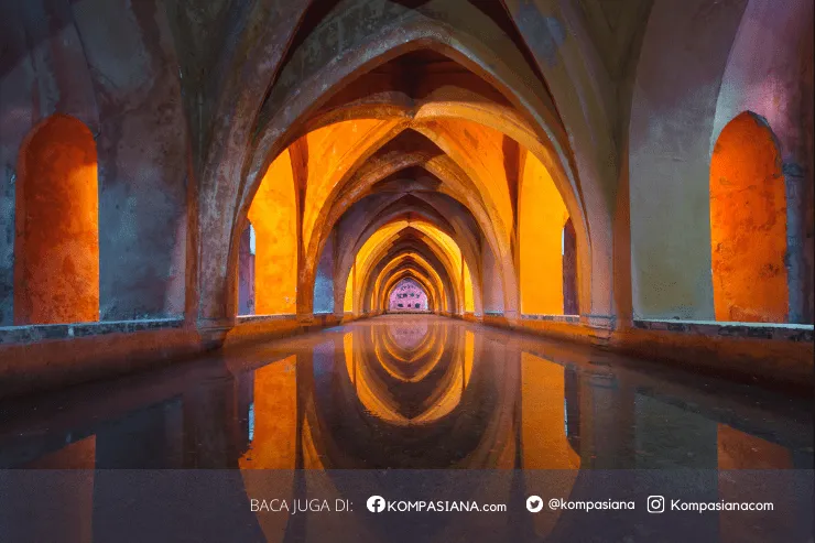 Pengaruh Influencer pada Produk Lokal: Peluang Promosi UMKM hingga Risiko Dominasi Produk Impor