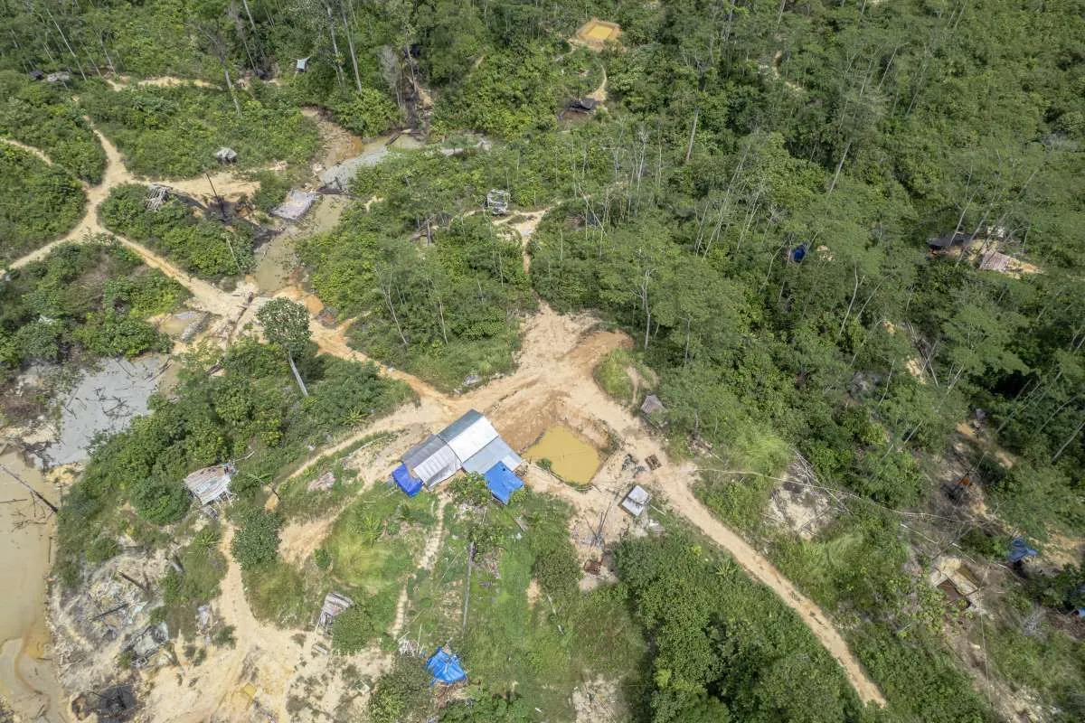 Pro dan Kontra Besaran Denda bagi Pelanggar Kawasan Hutan