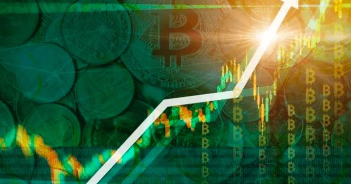 Pita Tracker by Trading View