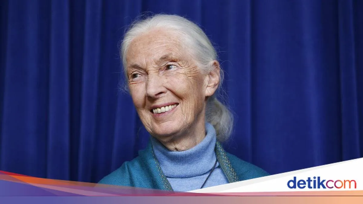 Primatolog Jane Goodall Meninggal Dunia pada Usia 91 Tahun Saat Tur di Amerika Serikat
