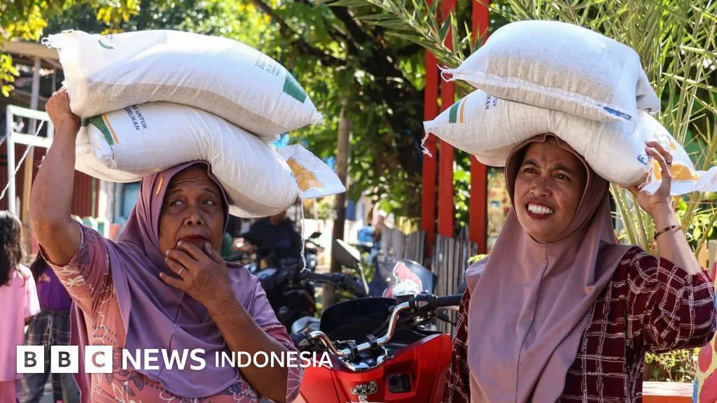Pemerintah Rencanakan Hapus Kategori Beras Medium dan Premium, Pakar Ingatkan Risiko Harga dan Mutu
