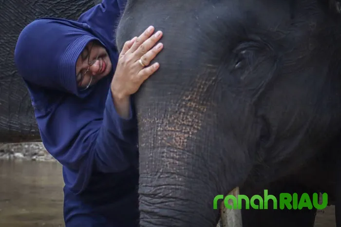 Bupati Siak Afni Zulkifli Berkemah di PLG Minas, Ajak Anak-anak Belajar Konservasi dan Bahas Mitigasi Konflik Satwa